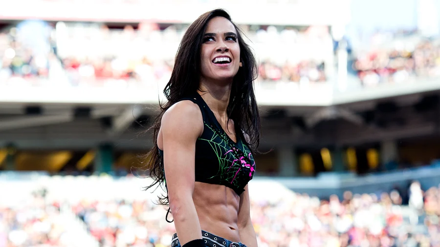WWE 關於 AJ Lee 參加摔角狂熱 42 計劃的重大更新