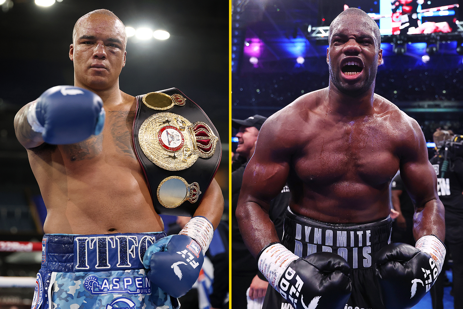 隨著回報選擇的增加，法比奧·沃德利（Fabio Wardley）和丹尼爾·杜布瓦（Daniel Dubois）提出與前十名競爭者進行戰鬥