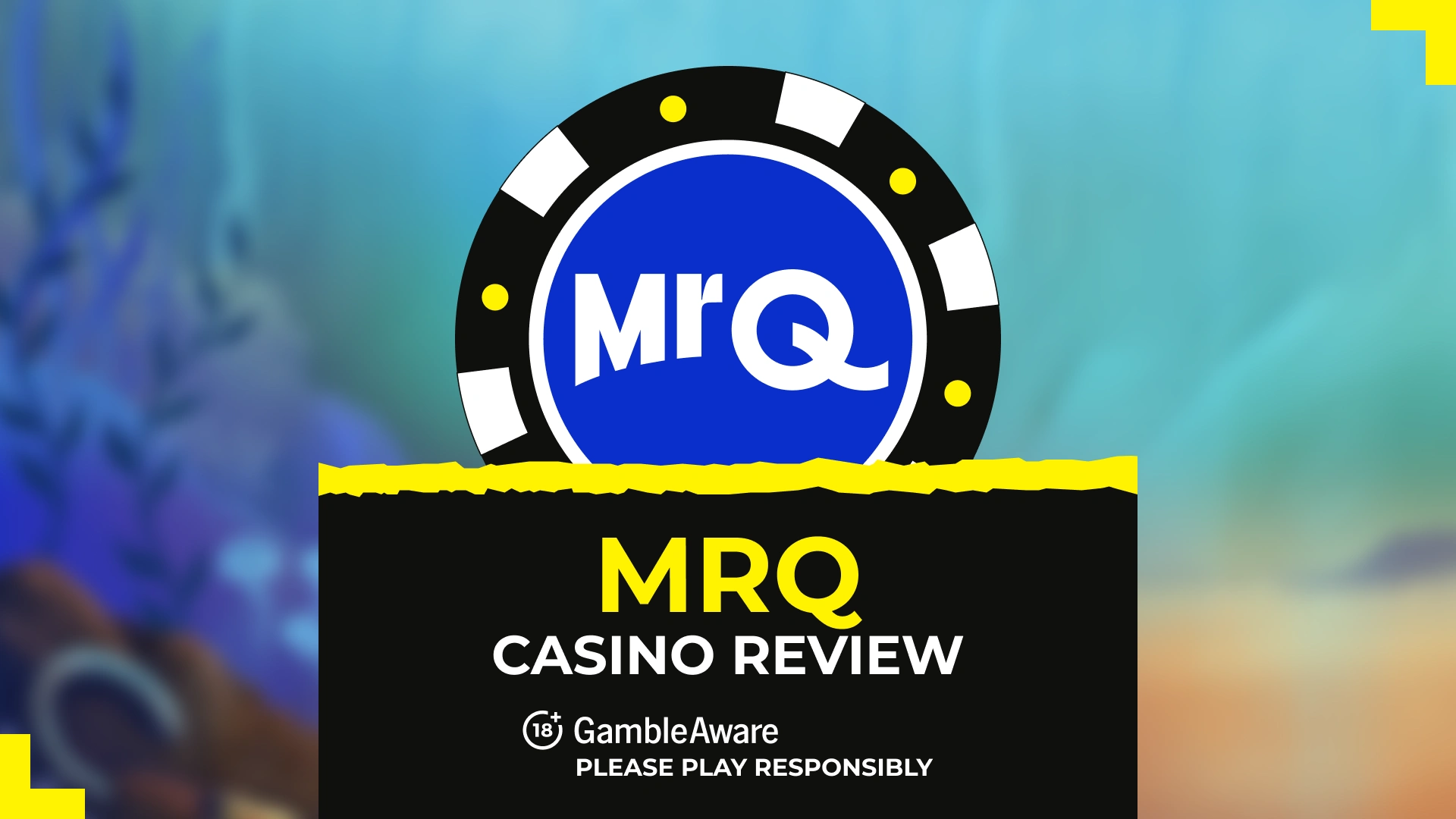 MrQ 賭場評論和獎金 | 2026年