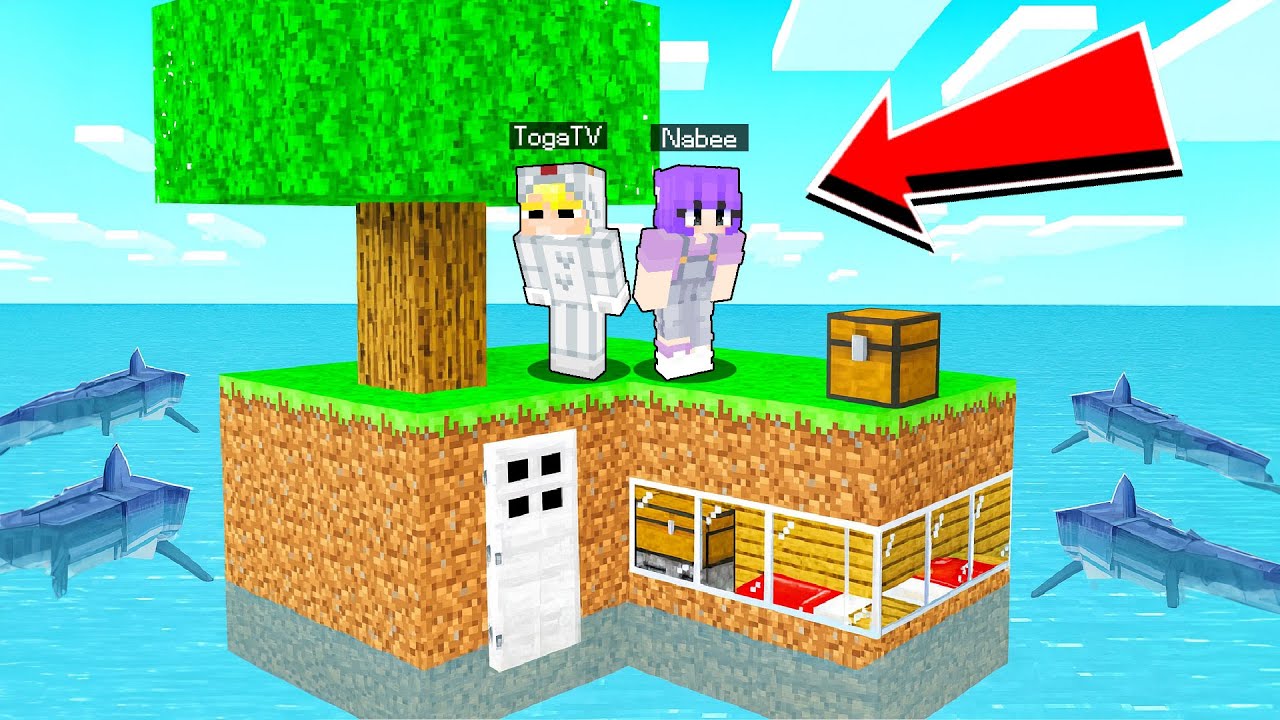 Tô Gà Thử Thách Sinh Tồn Trên SkyBlock Giữa Biển Cá Mập-Tô Gà: Thử Thách Sinh Tồn SkyBlock Giữa Biển Cá Mập Kỳ Thú