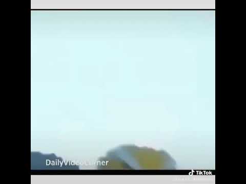 Ở đâu có đá gà ở đó có công an-Tại sao ở đâu có đá gà ở đó có công an? Hệ lụy pháp lý cần biết
