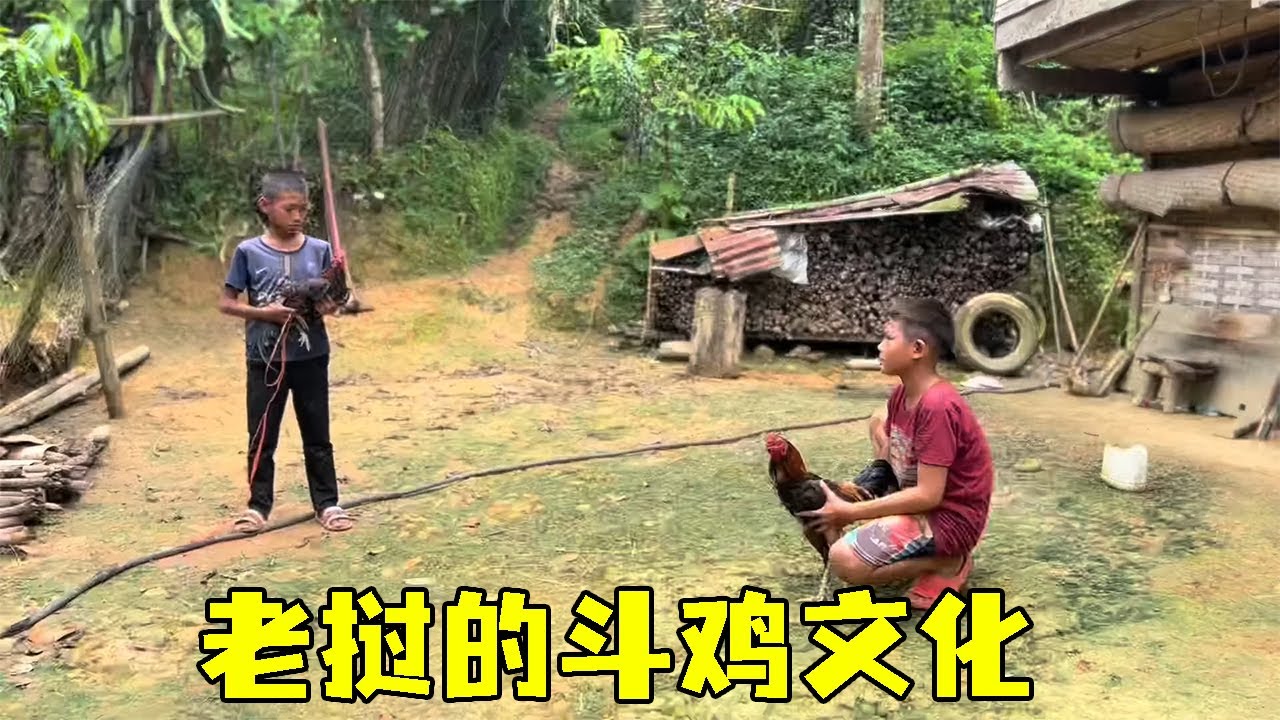 Văn hóa đá gà của nam giới Lào: Đam mê và tinh thần võ sĩ | Mr. Lao No.7