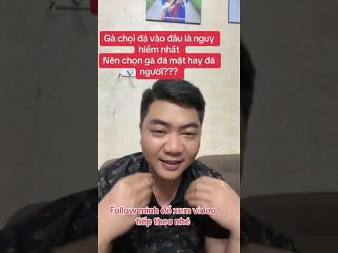 Gà chọi đá vào đâu là nguy hiểm nhất chia sẻ kinh nghiệm của sư kê (Tuấn Hà Đông)#ga-Vị trí hiểm nhất khi đá gà chọi: Kinh nghiệm từ sư kê Tuấn Hà Đông