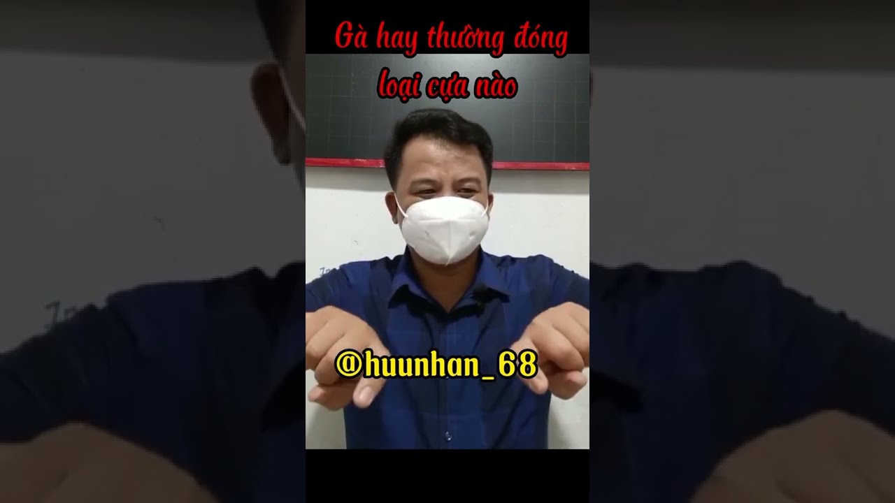 Cựa gà đá mọc thế nào mới hay?-Cựa gà đá mọc thế nào là hay? Cách xem cựa gà chiến cực chuẩn
