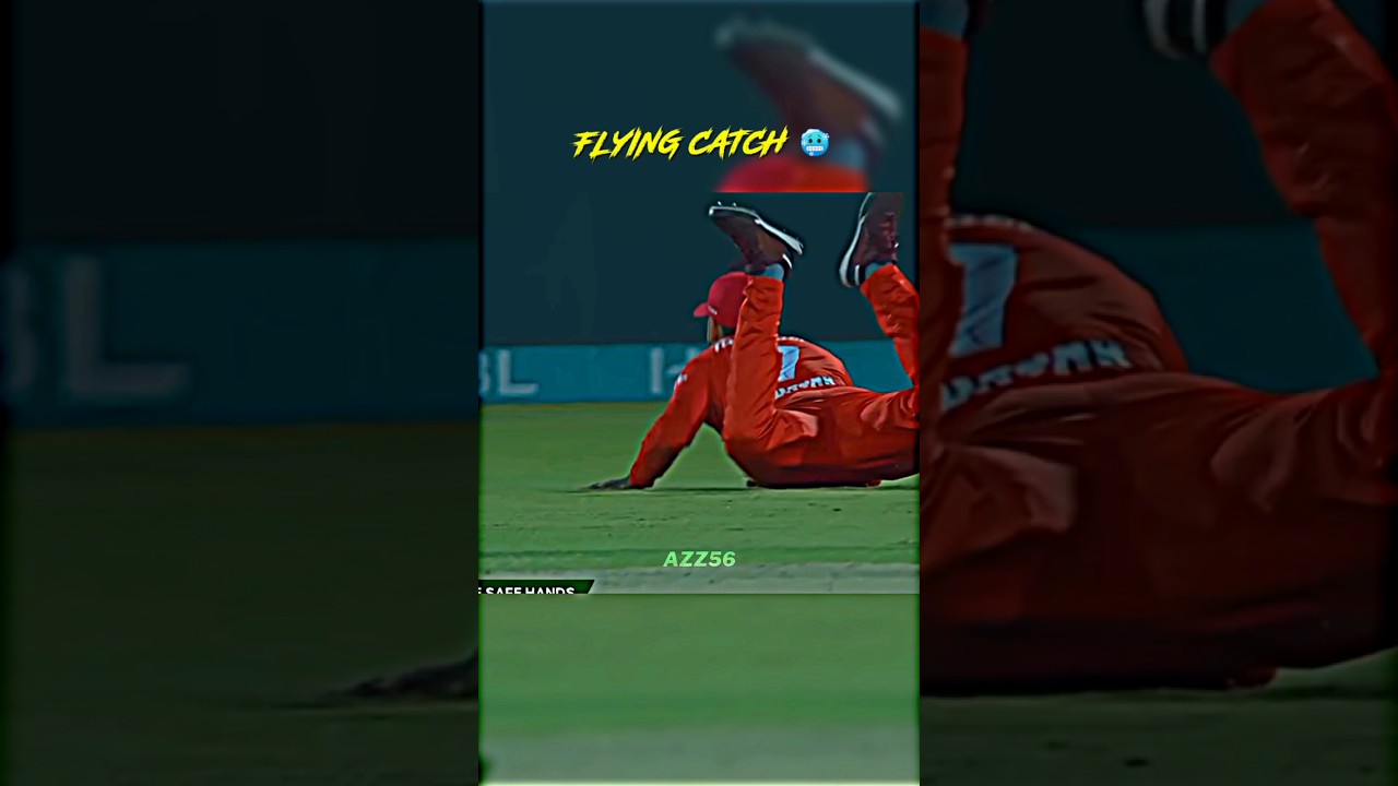 Best Catch Ever in Cricket ✈️ #shorts #cricket
