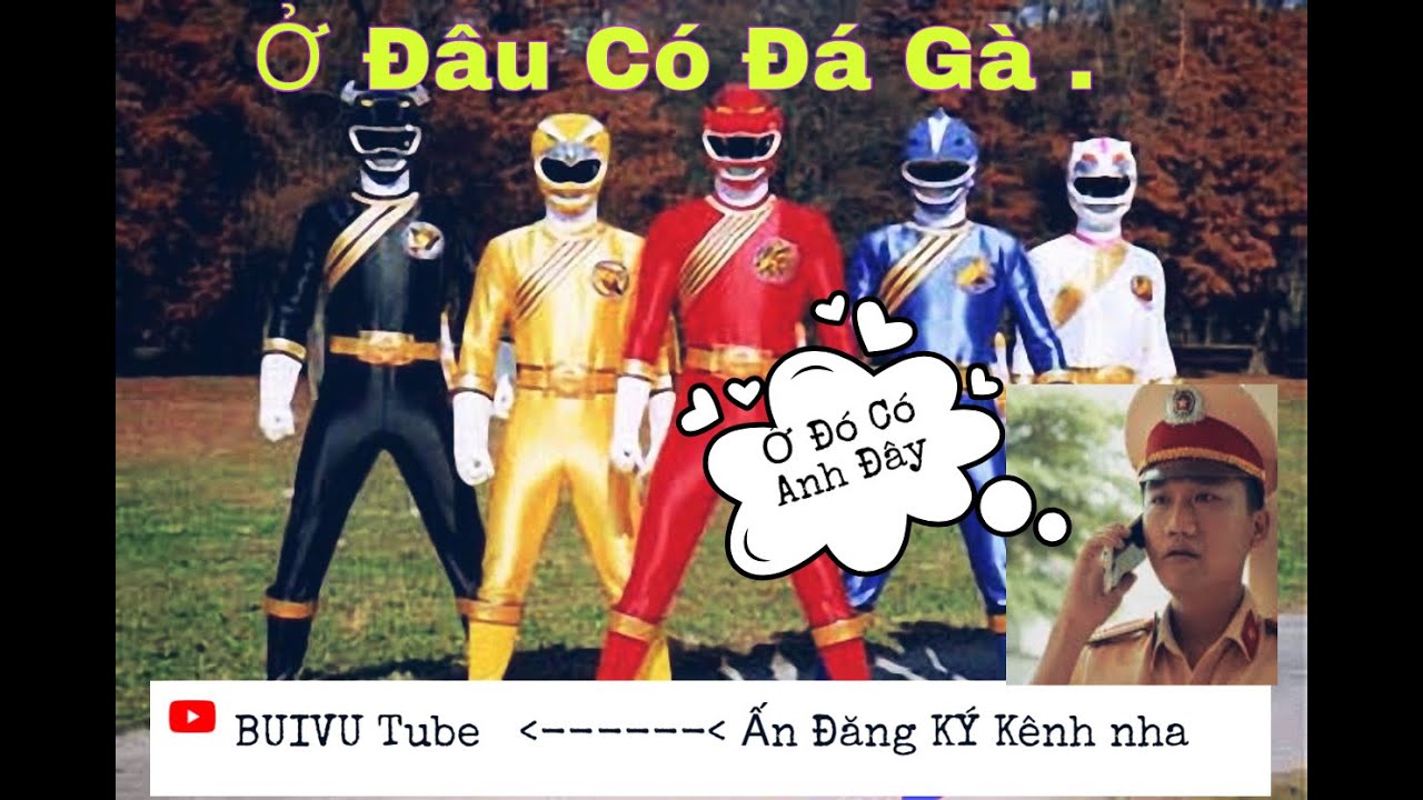 Ở Đâu có đá gà ở Đó có công an-Tại sao ở đâu có đá gà ở đó có Công an? Quy định pháp luật mới nhất