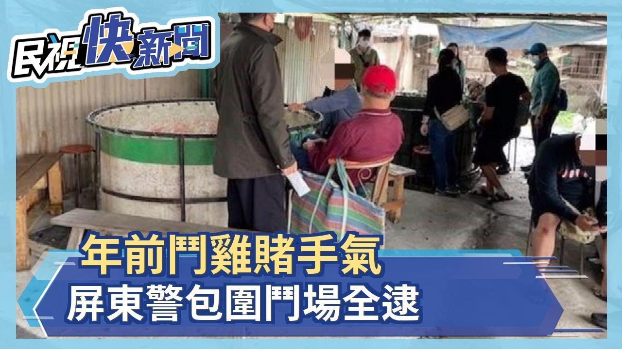 Cảnh sát Bình Đông triệt phá trường đá gà Tết: Bắt giữ toàn bộ con bạc | Dân Thị – Tin tức TVBS