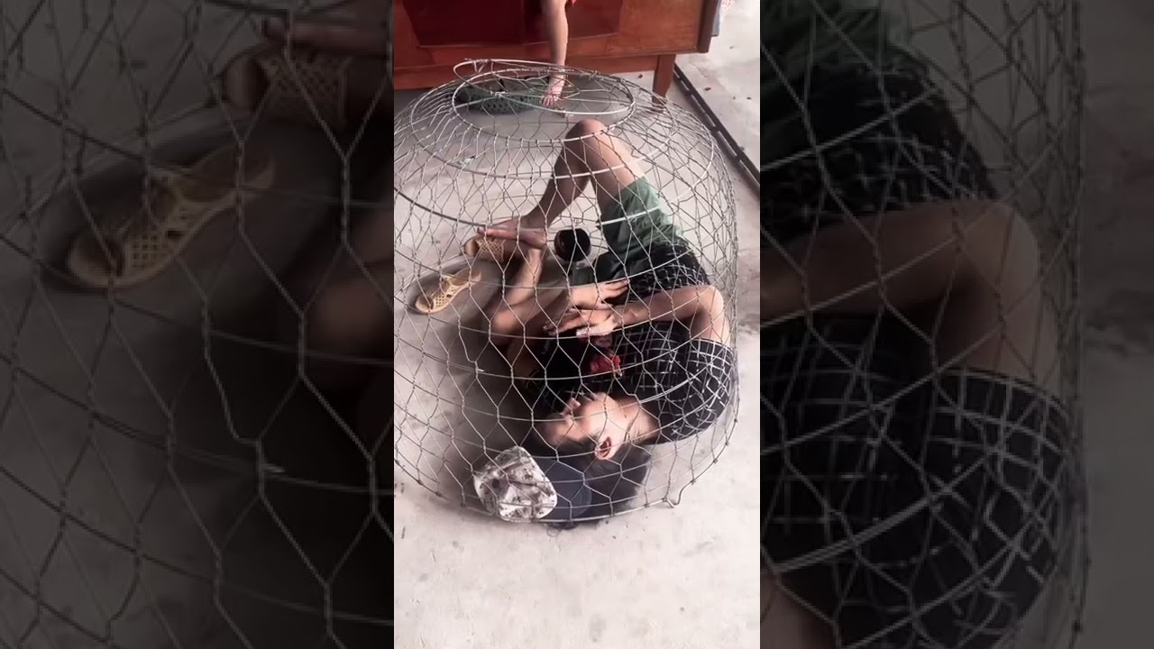 Anh nhớ em chiến kê của anh 😢😢-Anh Nhớ Em Chiến Kê Của Anh: Nỗi Nhớ Linh Kê Quá Cố 😢😢