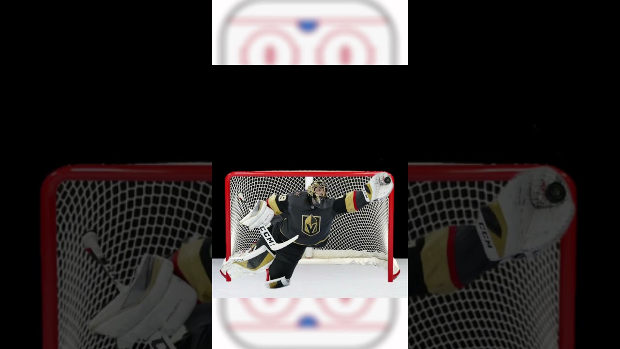 Best Hockey Goals & Highlights: Did You Score? #NHL