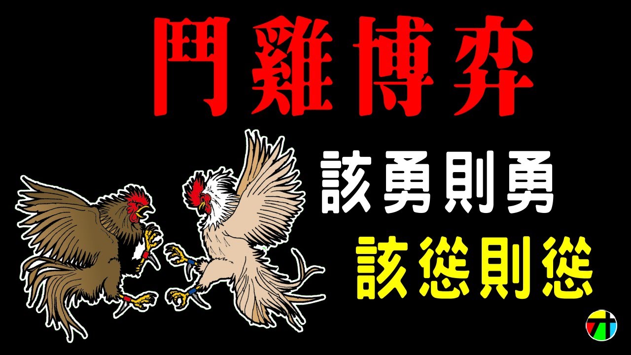 Thuyết Trò Chơi Gà Tây: Khi Nào Nên Cương, Khi Nào Nên Nhu | JT才知道