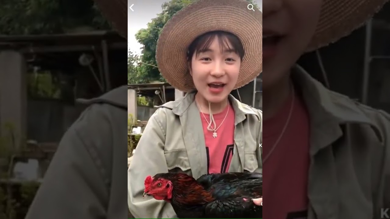 Vì em nên phải đổi đi con gà đá đắt tiền-Vì Em Đổi Gà Đá Đắt Tiền: Ý Nghĩa Và Tâm Điểm Chú Ý