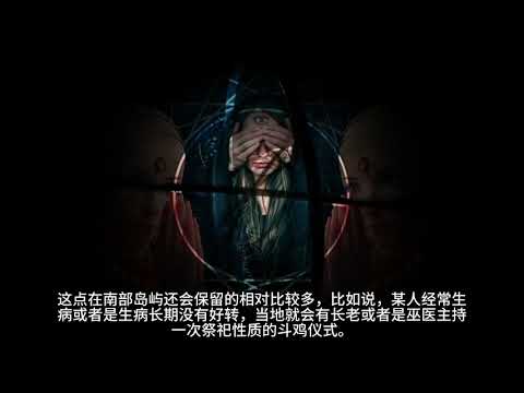 Cách Chơi Và Kinh Nghiệm Đá Gà Ma Thuật Hiệu Quả