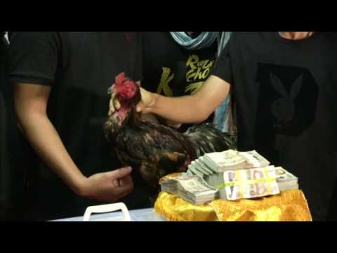 Kết quả đá gà Bangkok 2017: “Hắc Kim Cương” giành giải triệu đô bản lĩnh.