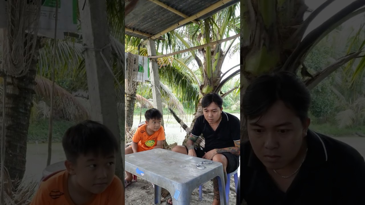 Không biết đá gà đâu #thuongonha #videogiaitri-Cách Xem Đá Gà Cho Người Mới Bắt Đầu | #thuongonha #videogiaitri