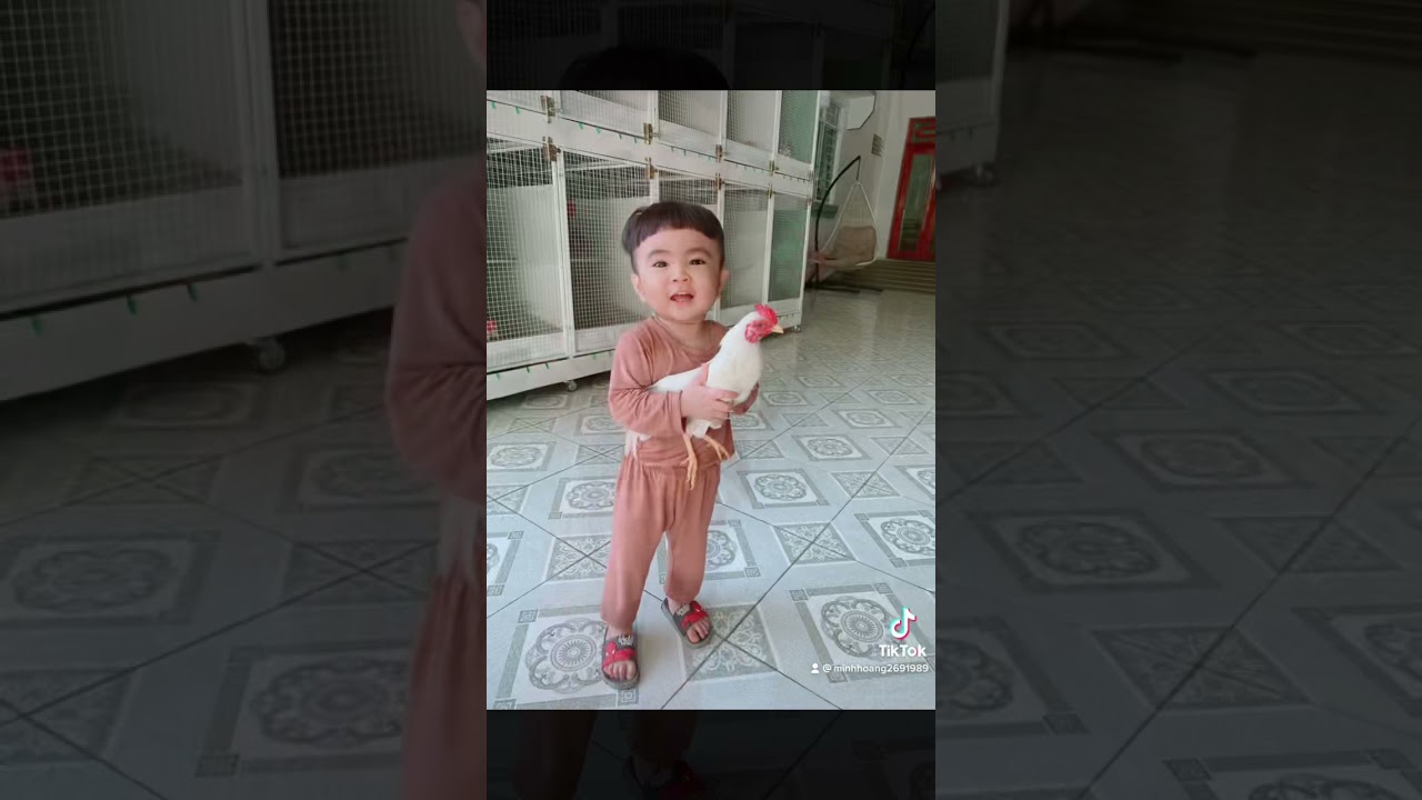 Con trai. Đam mê Gà tre bắc 😂😂-Gà Tre Bắc: Niềm Đam Mê Bất Tận Của Phái Mạnh