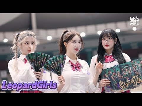 Tiêu đề SEO: Leopard Girls (Đài Bia Vĩnh Phong Vân Báo) – Hiện Tại Lác Mắt Cũng Rủ Nhau Đi Chung | 23/11/2025