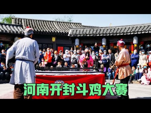 Đấu gà Khai Phong Hà Nam: Lễ hội nghẹt thở, hút ngàn du khách!