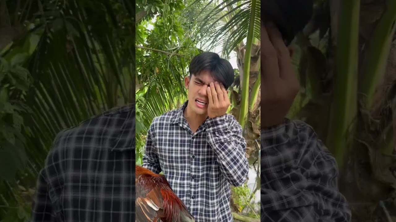 Khi Mấy Ông Hàng Xóm Xem Đá Gà p2 và Cái Kết | VoBaTy| #shorts-Khi Mấy Ông Hàng Xóm Xem Đá Gà P2 & Cái Kết Cực Hài | VoBaTy #shorts