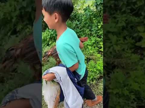 Tuổi trẻ và niềm tin-Tuổi Trẻ và Niềm Tin: Khát Vọng, Ý Nghĩa và Sức Mạnh Dẫn Lối Thắng Lợi
