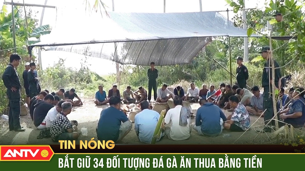 Đột kích sới gà, bắt giữ 34 đối tượng | ANTV-Đột kích sới gà, bắt giữ 34 đối tượng tại chỗ | ANTV
