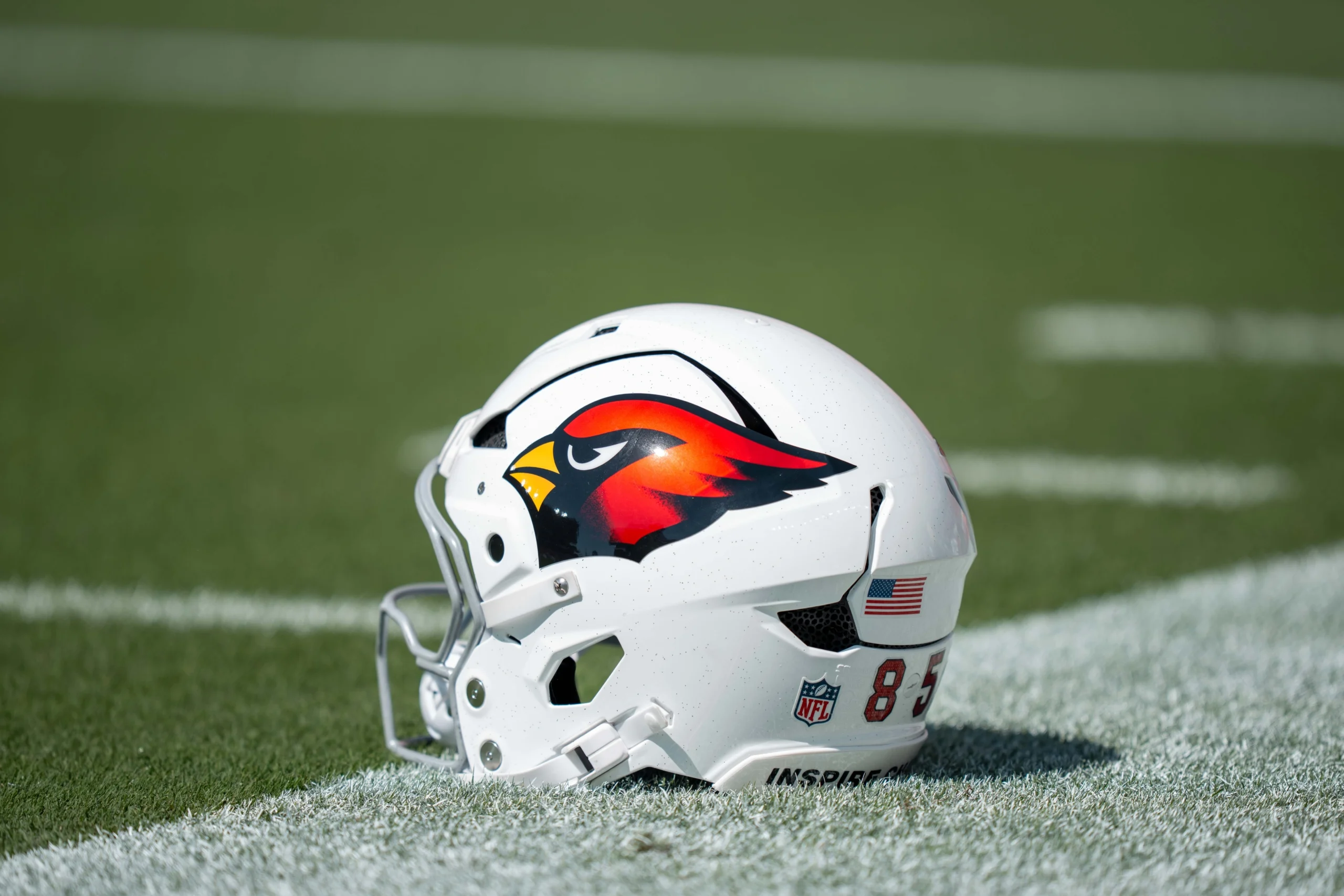 亞利桑那紅雀隊傾向於聘請前 NFL HC 擔任防守協調員