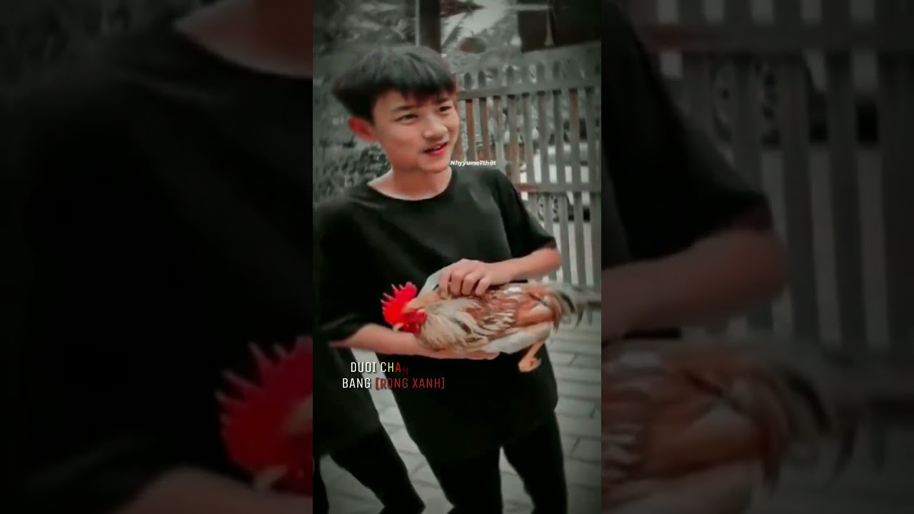 Anh Ba Phải| Băng Của Thật Đi Đâu Hết Rồi Điểm Danh Đê! Các Bạn Nhớ Xem Hết quảng cáo nha!-Anh Ba Phải TV | Băng Của Thật Đi Đâu Hết Rồi? Điểm Danh Ngay!