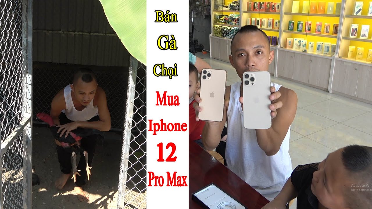 Bán Gà Mua Iphon 12 Promax Tặng Sinh Nhật Vợ – Chiếc Iphone 12 Promax Sớm Nhất Ba Vì-Bán Gà Mua iPhone 12 Pro Max Tặng Vợ: Chiếc Máy Sớm Nhất Ba Vì