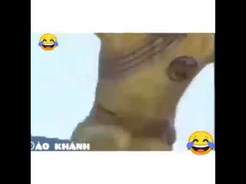 Ở đâu có đá gà ở đó có công an. Mất mịa tuổi thơ.-“Ở đâu có đá gà, ở đó có công an”: Ký ức tuổi thơ dữ dội!