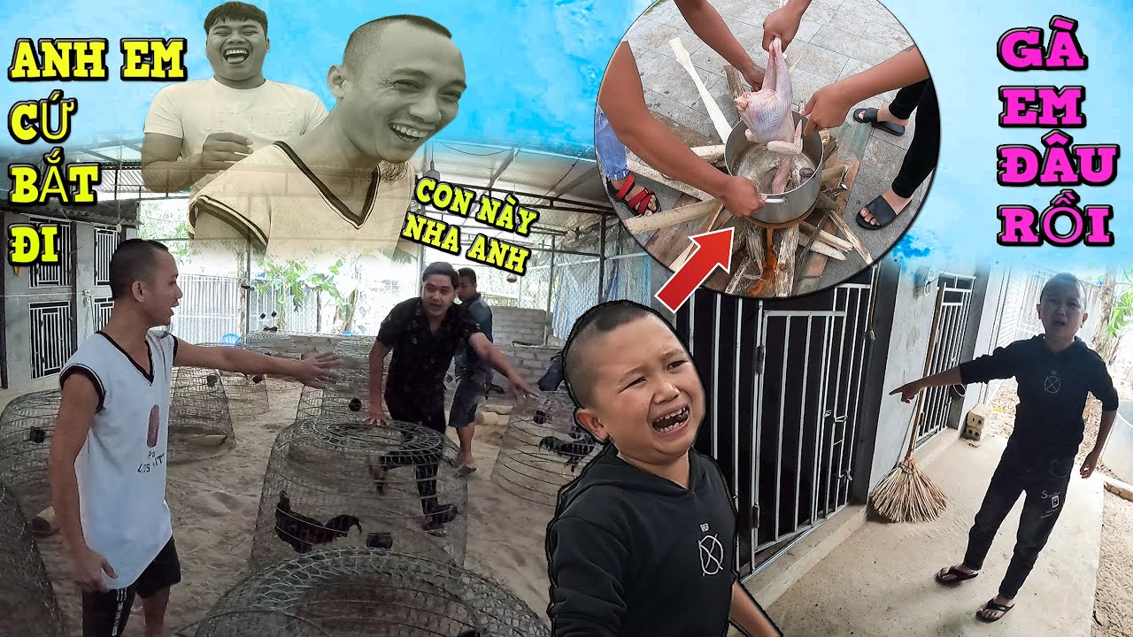 NVL – Bị Mao Ca Troll Đãi Gà Chọi Của Mao Đệ Và Cái Kết Khóc Quan Nhà-NVL Review: Mao Ca Troll Mao Đệ Đãi Gà Chọi & Cái Kết Cực Hài