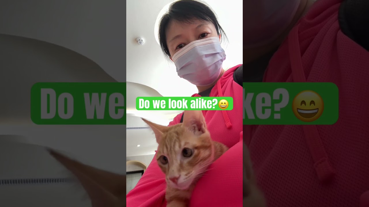 Chúng tôi trông có giống nhau không? #Shorts
