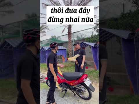 Giao lưu con gà #ManhBaTuoi-Giao Lưu Con Gà #ManhBaTuoi: Kỹ Thuật & Chia Sẻ Kinh Nghiệm Haylight