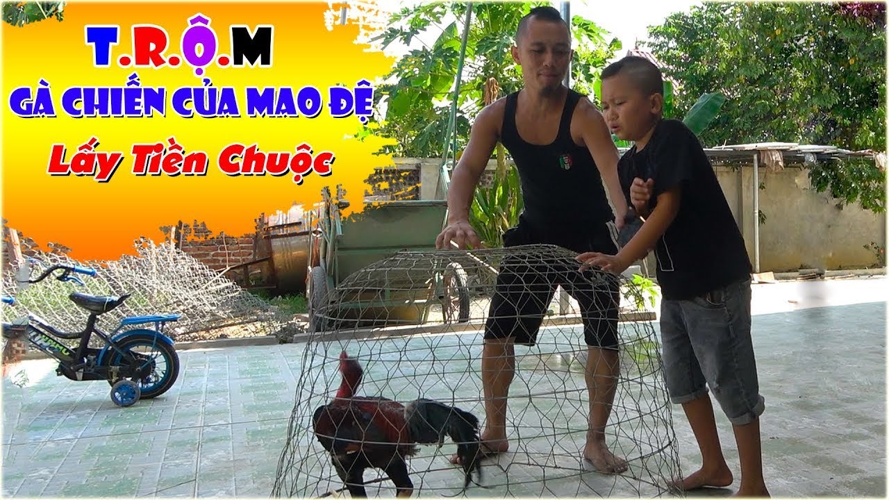 Màn Hoá Trang Bá Đạo Của Mao Đại Ca Khiến Mao Đệ Cũng Phải Chịu Thua-Mao Đại Ca Hoá Trang Bá Đạo: Mao Đệ Phải Chịu Thua!