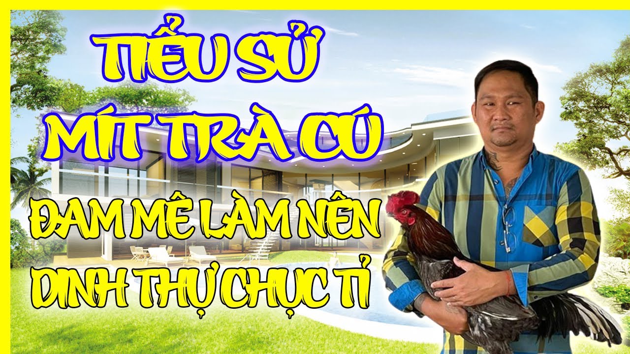 TIỂU SỬ MÍT TRÀ CÚ | MÍT TRÀ CÚ LÀ AI? GIA ĐÌNH VÀ SỰ NGHIỆP RA SAO? | NHẬT KÝ THOMO-Tiểu sử Mít Trà Cú là ai? Gia đình và Sự nghiệp đại gia gà chọi