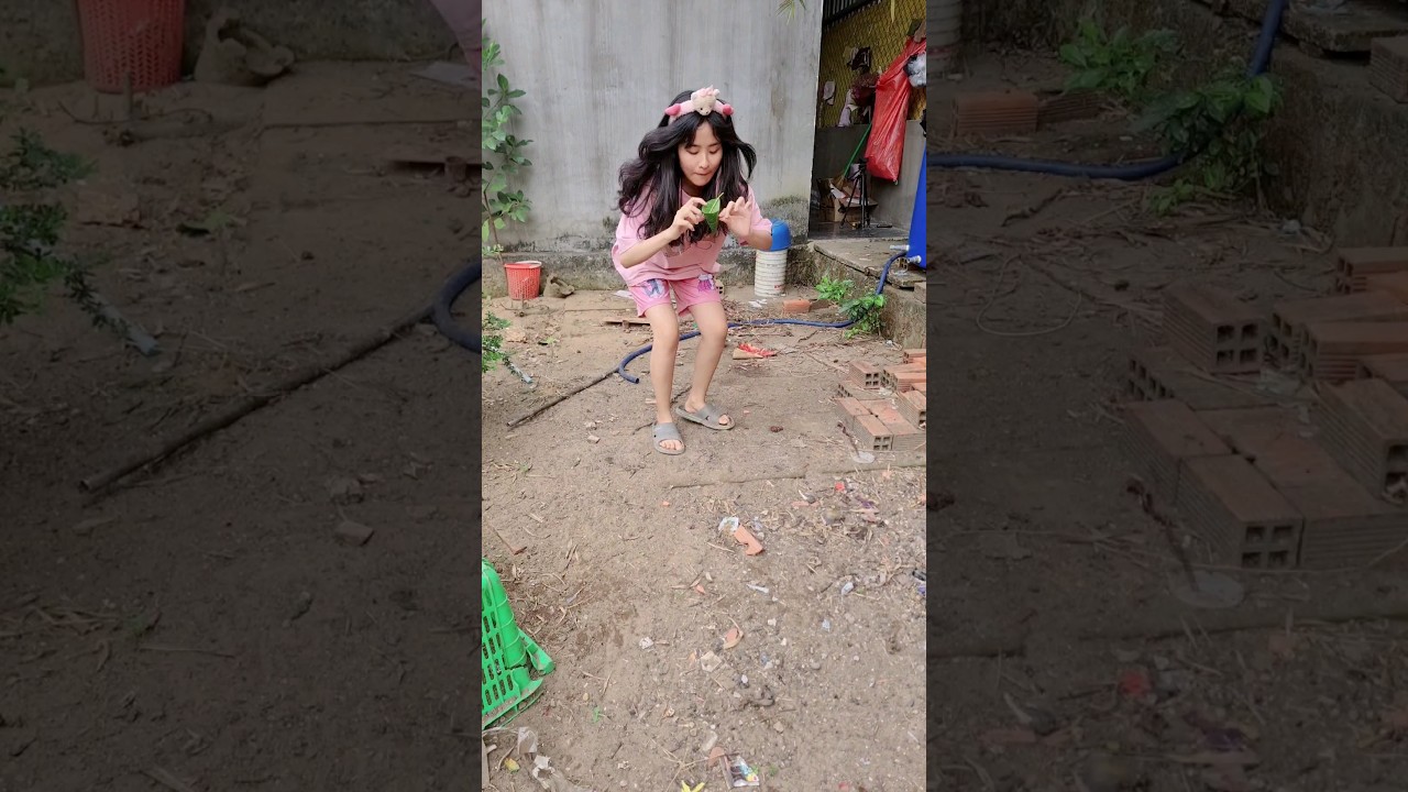 BẮT CON GÀ BẰNG LÁ CÂY #tranvyvy-Cách Bắt Con Gà Bằng Lá Cây Cực Đỉnh | #tranvyvy