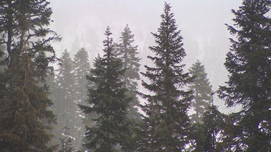 冬暴將至：喀斯喀特山脈發布暴風雪警告