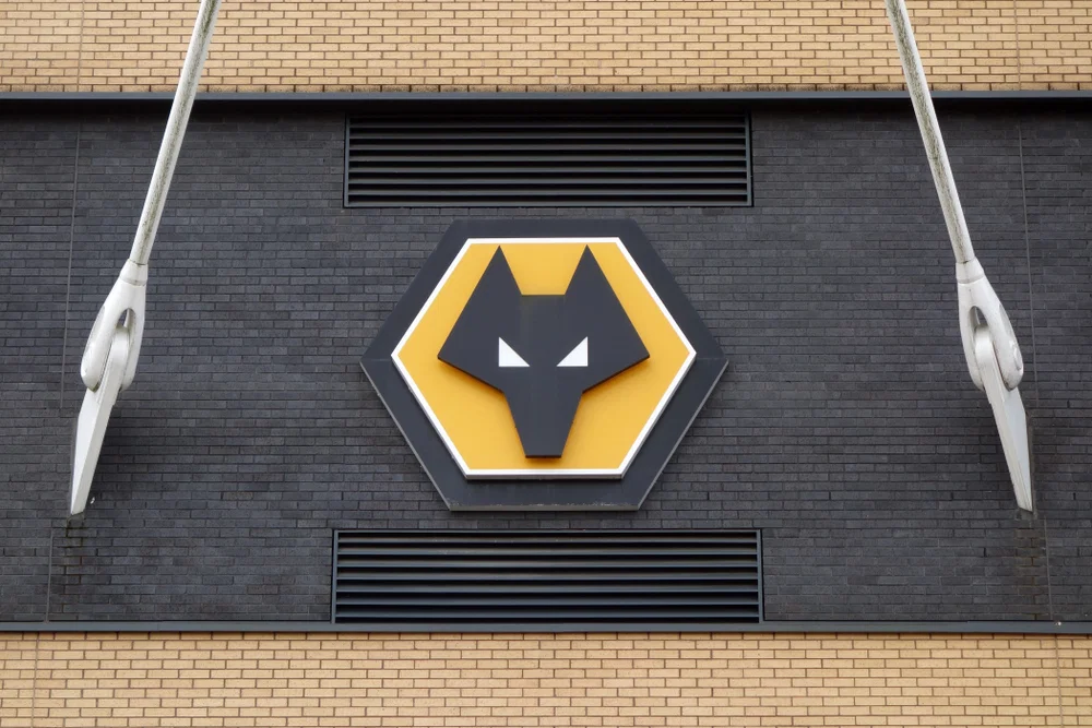 Wolves want to ‘recover part of their investment’ on signing – transfer likely to ‘stretch into the summer’