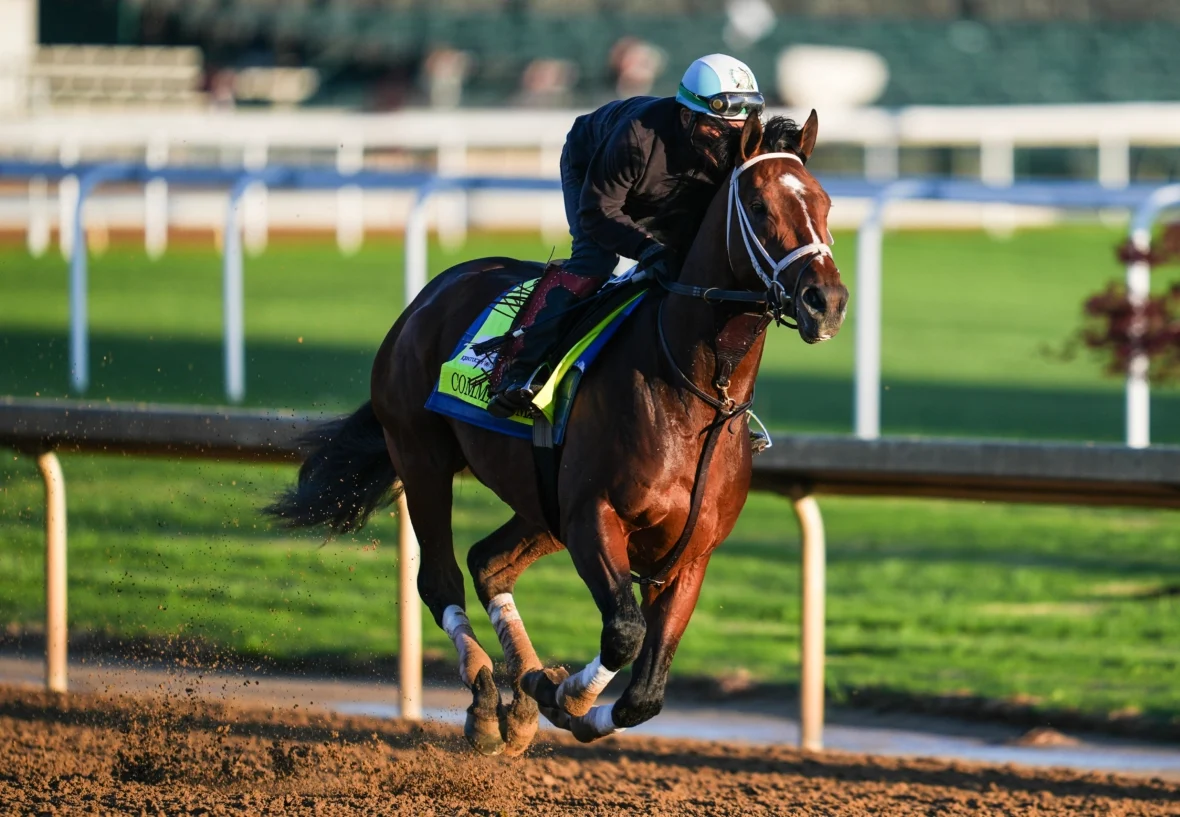Final rankings of all 20 Kentucky Derby horses and the best bets to win, place and show on Saturday